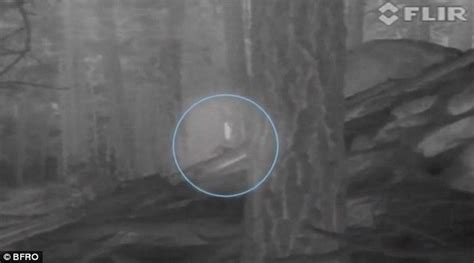 Hunt For Bigfoot In Northern New Mexico After Thermal Imaging Reveals 7