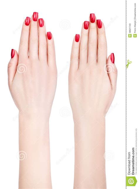 Beautiful Female Hands Stock Image Image Of Female 38621743