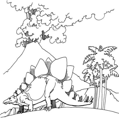 Dibujos De Stegosaurus Para Colorear Para Colorear Pintar E Imprimir Images And Photos Finder