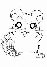 Hamtaro Cartoons Coloring Pages sketch template