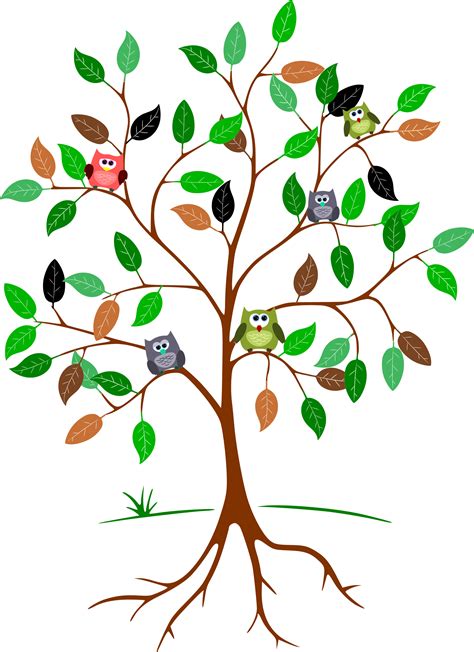 Clipart Owls In A Tree