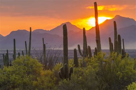 Arizonas National Parks And Park Pass Information