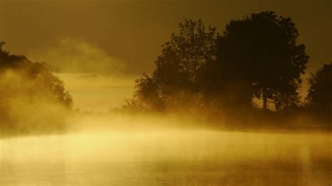 Lake Fog Sunset Landscape Trees Sunrise Mist Wallpaper 1920x1080