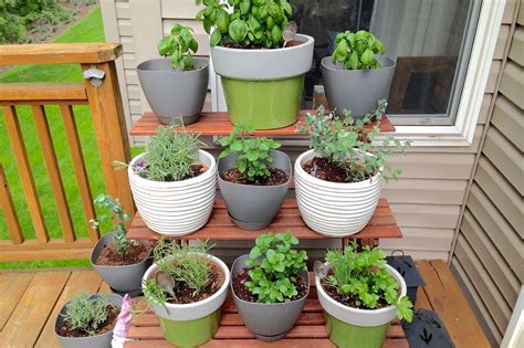You can do themed herb container gardens, such as a pizza garden or an herbes de provence container garden. Kitchen Herb Container Garden - p.s. bonjour