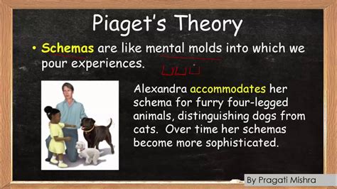 Assimilation Accommodation Schema And Adaptation Piagets Cognitive