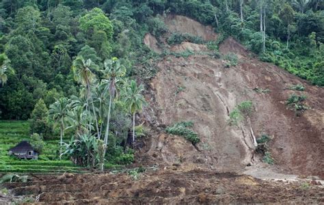 Kerusakan Hutan Dapat Menyebabkan Terjadinya Bencana Banjir Dan Tanah