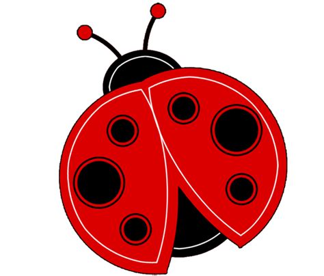 Ladybug Png Images Transparent Free Download