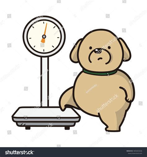 The fat dog weighing on a scale. - Royalty Free Stock Vector 1805065636