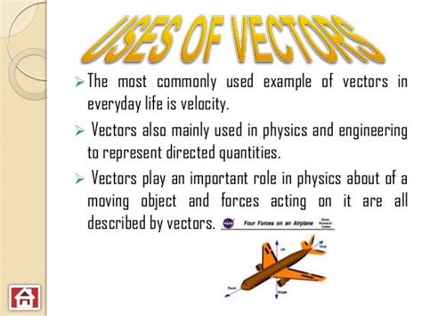 Vector