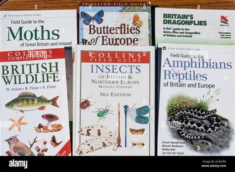 Wildlife Books Field Guides Stock Photo Alamy