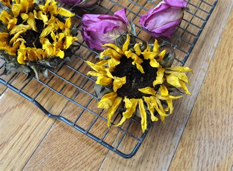 Effortless Oven Dried Flowers For Crafts Made In A Day