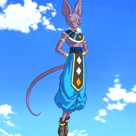 The dragon ball super manga revealed that at some point, zeno held an all universe hide and seek tournament, but the game was canceled after beerus fell asleep for half a century during the event. Dragon Ball Super-Beerus by GiuseppeDiRosso on DeviantArt