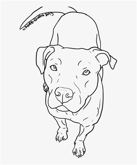 Top 10 Pitbull Drawing Ideas And Inspiration