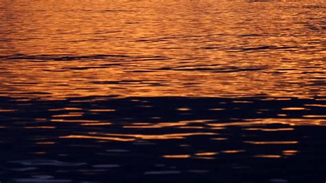 Ripple Effect On Water At Sunset Over Sea Stock Footage Sbv 330033166