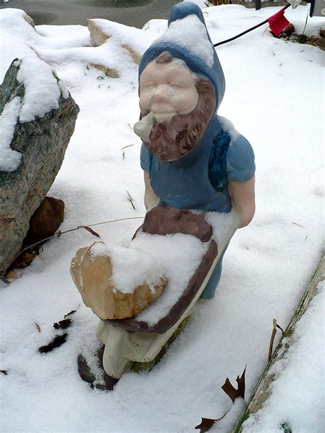 Garden Gnome In The Snow Photograph By Bob Dashman