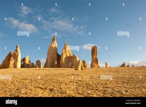 Sandstone Pillars Of The Pinnacles Desert In The Heart Of The Nambung