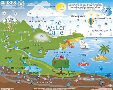 We Love This Interactive Water Cycle Chart From Usgs You Can Select