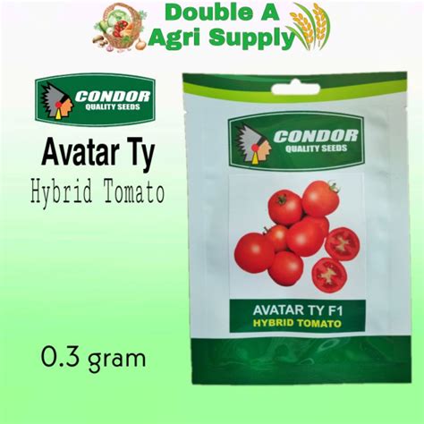 Avatar Ty F1 Hybrid Tomato Kamatis Vegetable Seeds Pack Condor