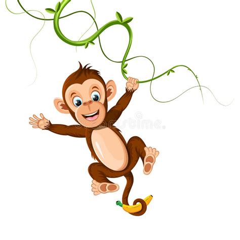 Cheerful Monkey Hanging On A Vine And Holding A Banana Stock Vector