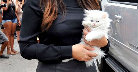 Kim Kardashians Kitten Mercy Dies Us Weekly