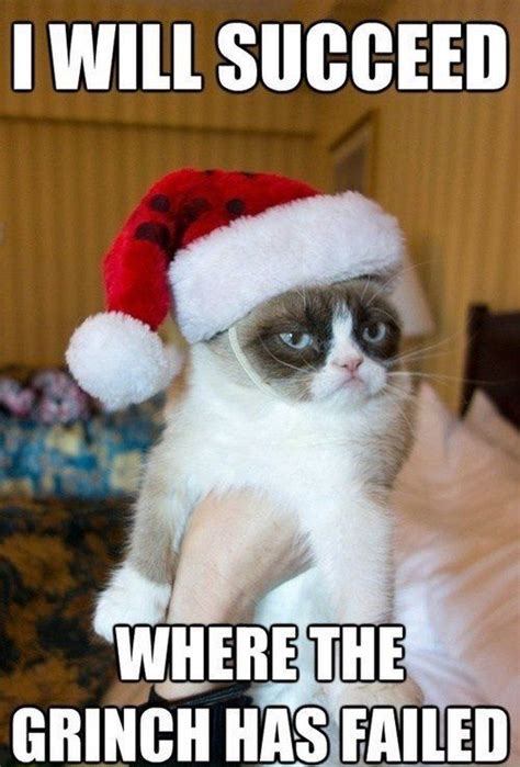 Top 26 Funny Memes Comebacks Grumpy Cat Dude Memes