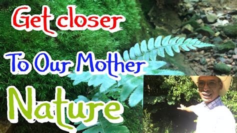 Nature And Inspiration Lets Get Closer To Our Mother Nature Youtube