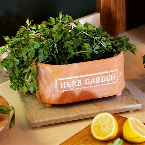 Herb Garden Terracotta Planter By The Alphabet T Shop