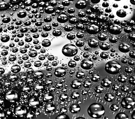 Water Drop 10 Droplet Nature Plant Hd Wallpaper Peakpx