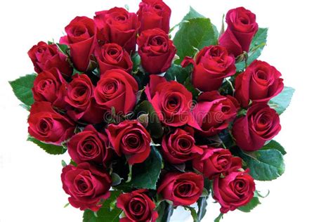Red Roses In A Bunch Stock Photo Image Of Closeup Bouquet 17907466