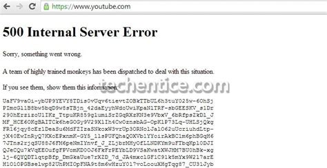 Highly Trained Monkeys Have Just Fixed Youtube Error Tech Entice