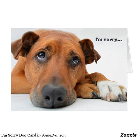 Im Sorry Dog Card Zazzle Dog Cards Dogs Animal Photo