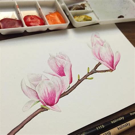 Merve akpınar bir kitabı okumayı düşünüyor. Zeynep Merve Akpınar on Instagram: "Gunun urunu 😊 # ...