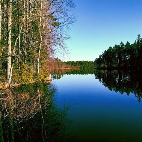 Find over 100+ of the best free finland nature images. Instagram photo by Winled Oy • May 4, 2016 at 1:10pm UTC ...