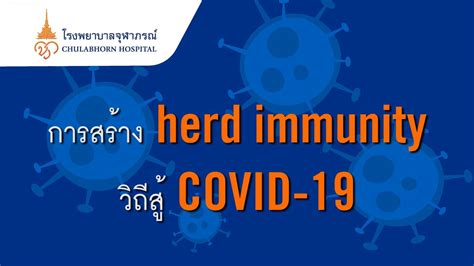 We did not find results for: Herd Immunity คืออะไร ?... - โรงพยาบาลจุฬาภรณ์ | Facebook