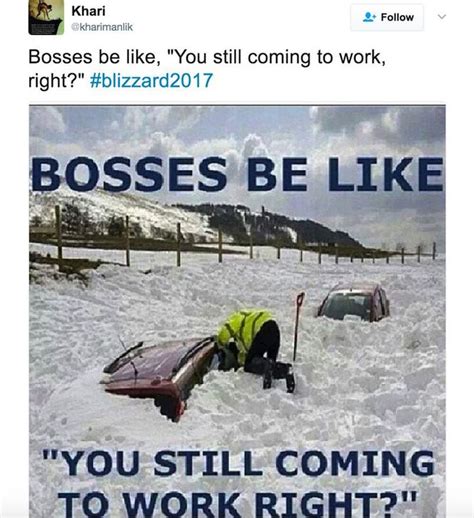 Stella Snow Storm Inspires Blizzard Of Funny Memes On Social Media