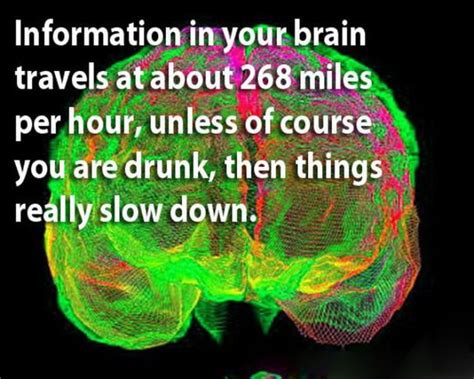 Curious Facts About Our Brain 18 Pics Picture 14