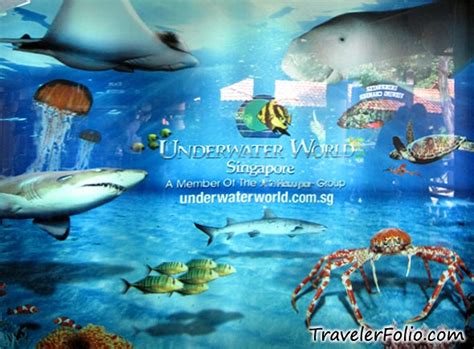 Attractions Of Singapore Underwater World Singapore
