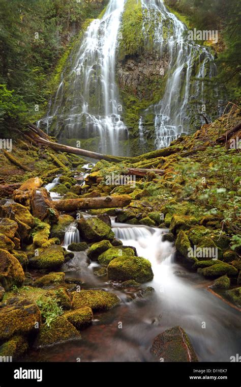 Proxy Falls 3 Sisters Wilderness Or Usa Stock Photo Alamy
