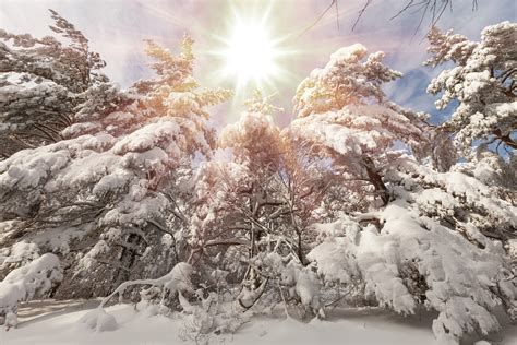 What is the Winter Solstice? | PeopleHype
