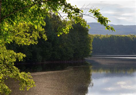 Wallpaper Sunlight Trees Landscape Lake Water Reflection Grass