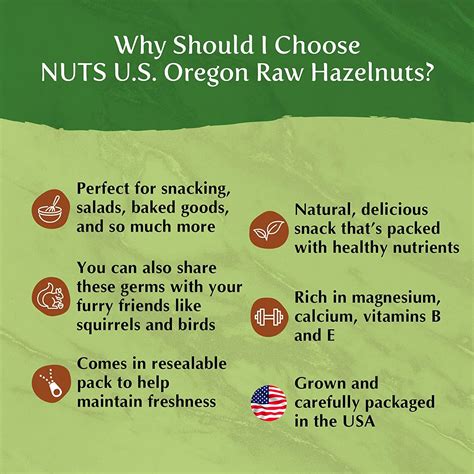 Nuts U S Oregon Hazelnuts Filberts Raw And Unsalted Steam