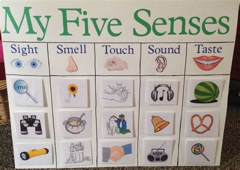 My Five Senses Board For Kindergarten Classifying Objects Into The
