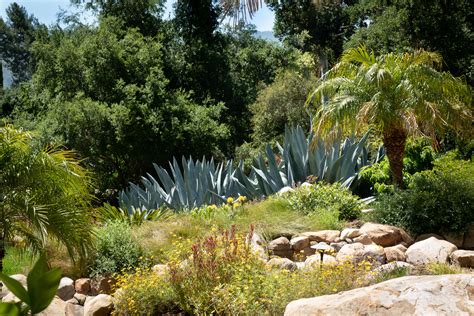 Landscape Plants For California Gardens Fasci Garden