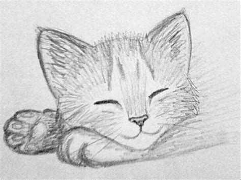 Boceto Gatito Kitten Drawing Pencil Drawings Of Animals Cat Sketch
