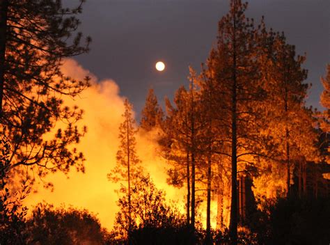 Cranston Fire Near Idyllwild Grows Overnight Friday 7000 Remain Away