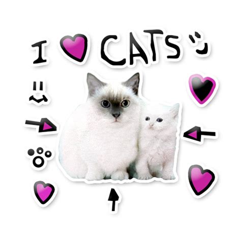 I Love Cats Sticker Denisdaily