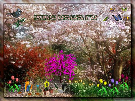 Check spelling or type a new query. 1813702200929183738.gif (800×600) | Japanese cherry tree, Blossom trees, Blossom garden