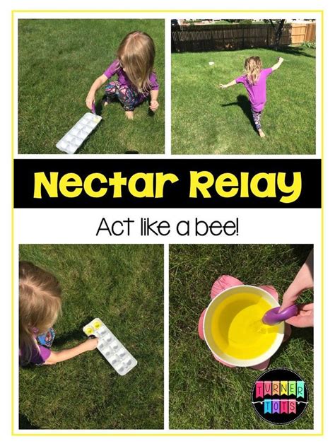 Nectar Relay Bee Gross Motor Game | Bees Preschool Theme | Transfer
