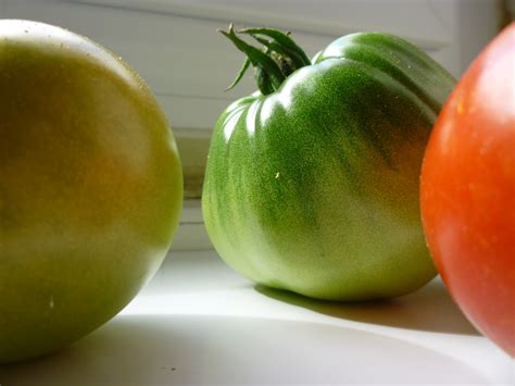 Red And Green Tomatoes Free Stock Photo Public Domain Pictures