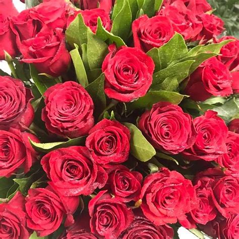 Nelle rose rosse c'è qualcosa in più! Mazzo di rose rosse (a dozzina) - Consegna Fiori a Napoli